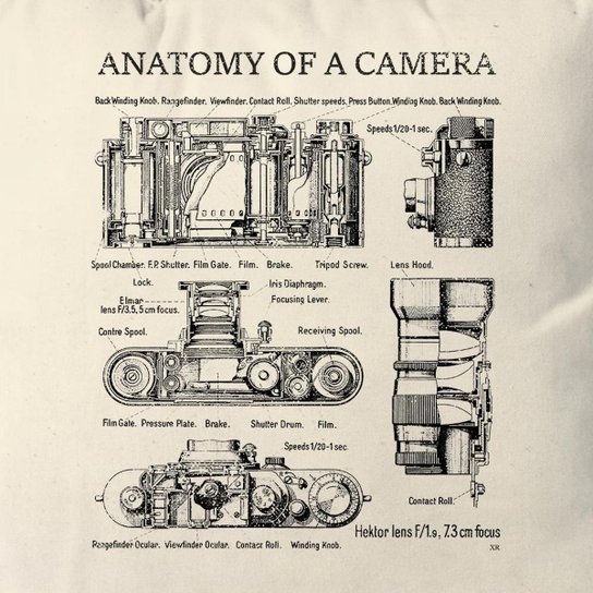 Almofada Anatomy Of Camera