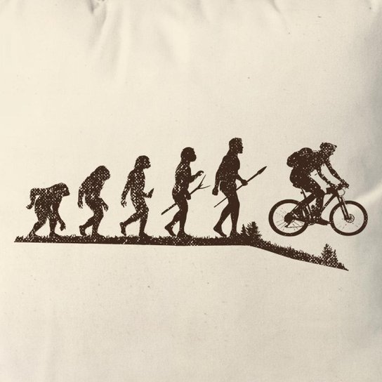 Almofada Bike Evolution