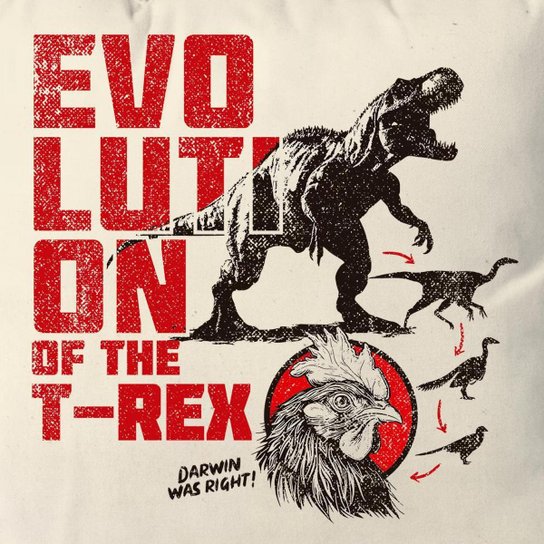 Almofada Evolution Of The T-Rex