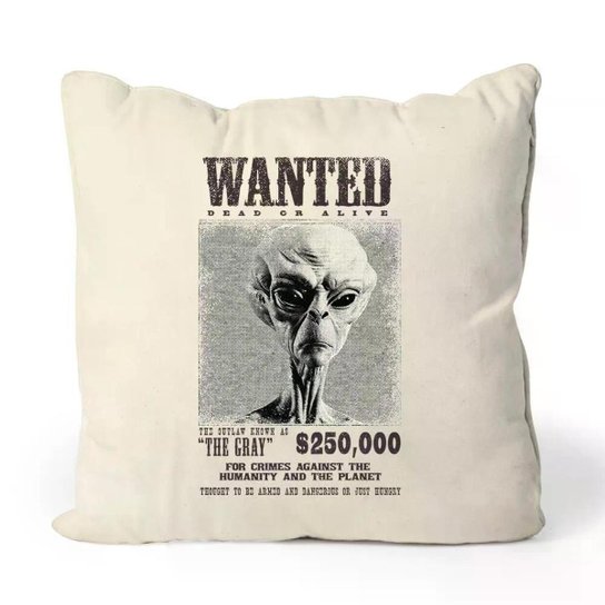 Almofada Outlaw The Gray