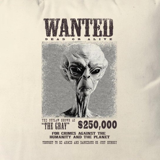 Almofada Outlaw The Gray