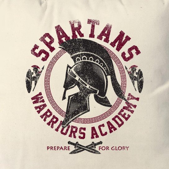Almofada Spartans Academy