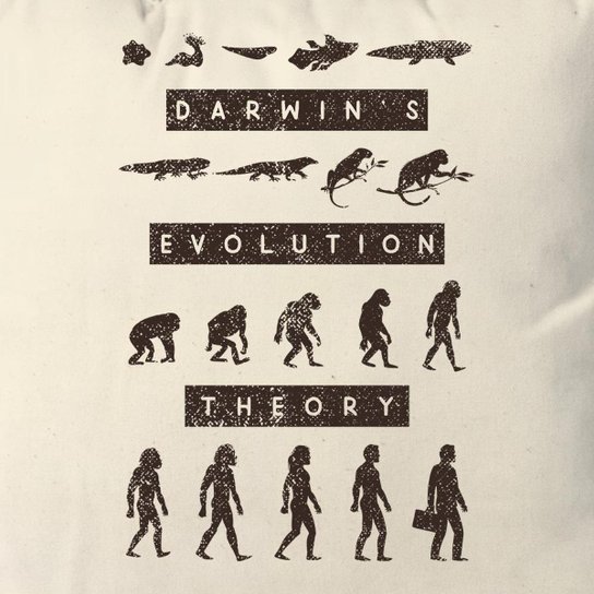 Almofada Teoria Da Evolução