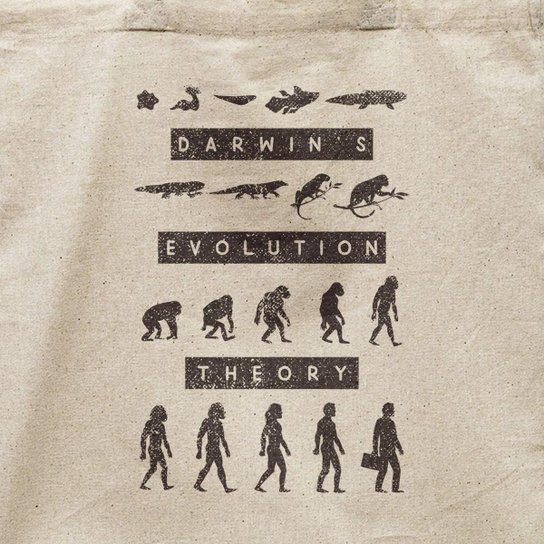 Ecobag Teoria Da Evolução