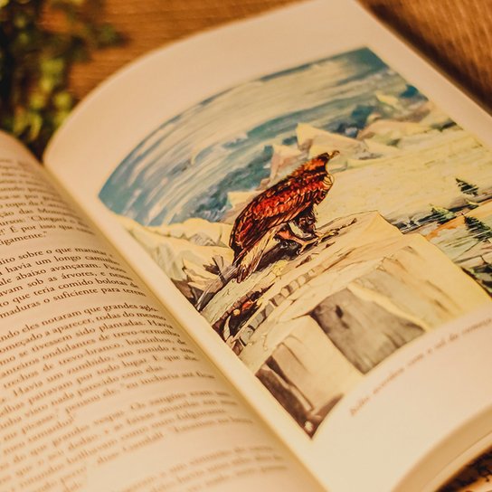 O Hobbit: Livro Edição Exclusiva Em Tecido Com Sobrecapa
